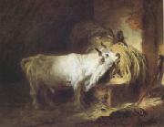 Jean Honore Fragonard The White Bull (mk05) Sweden oil painting artist